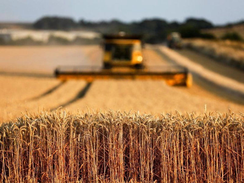 «Уборочная компания посевов завершена», - информирует «Русагро» 
